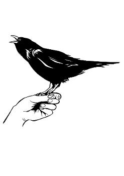 BLB: Die kleine Hexe