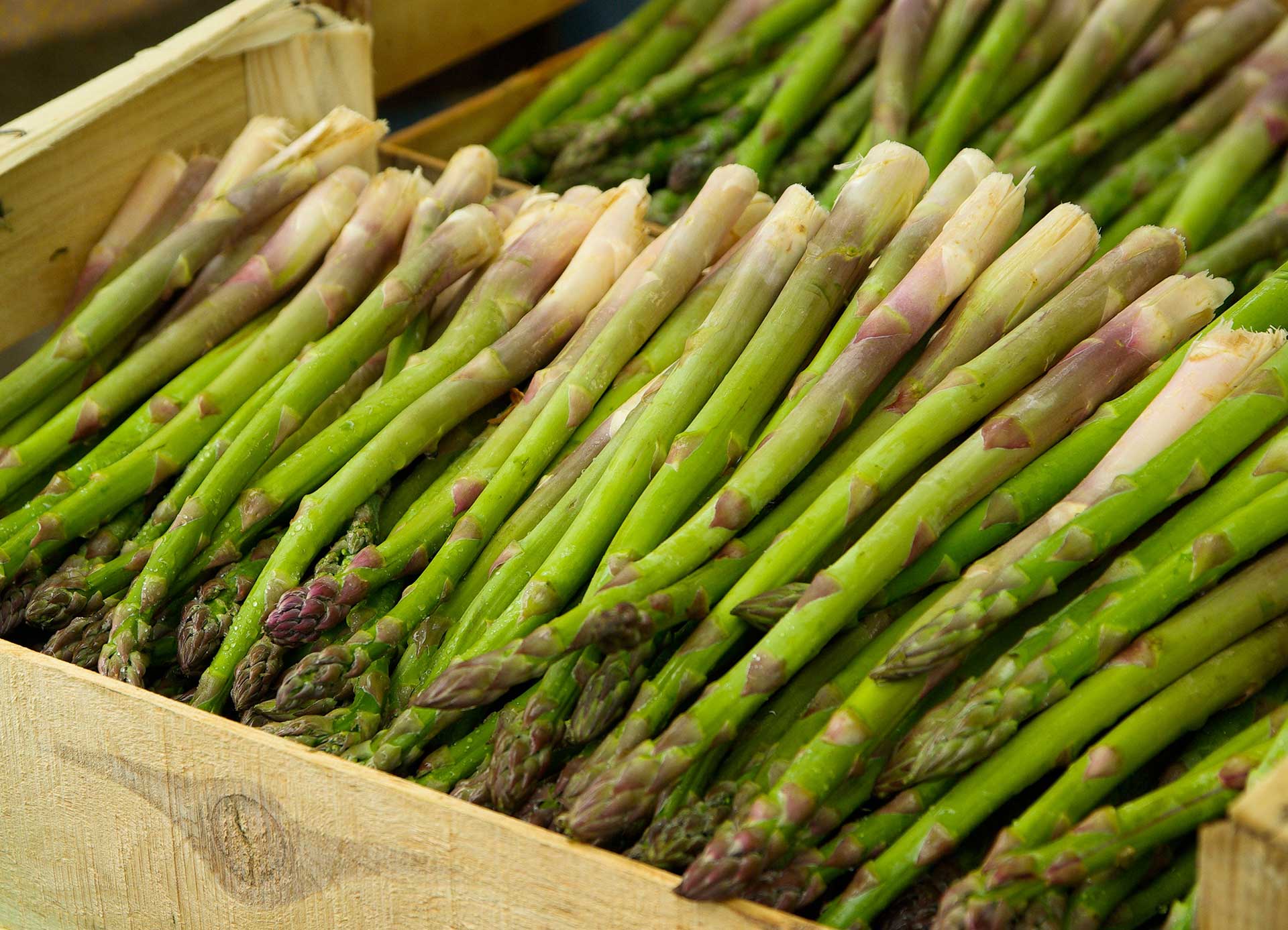 Spargel in Kiste